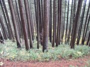 10.28.05 Devil's Rest 106 